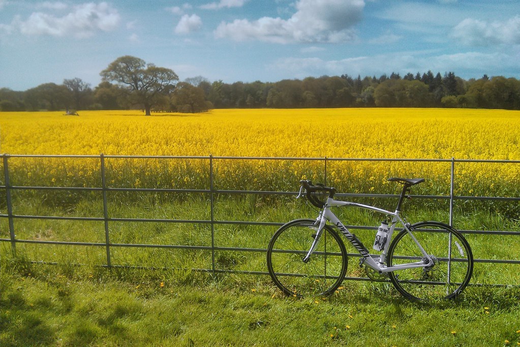 Cycling activity
