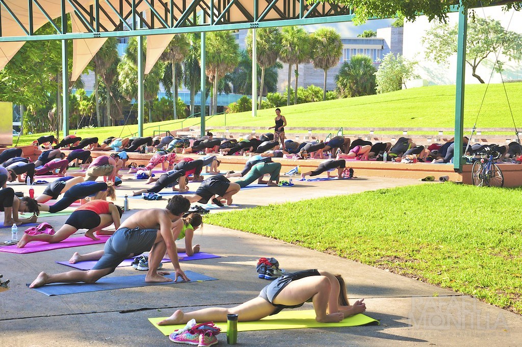 Yoga & Recovery activity
